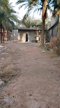 كربلاء الغلطاوية • ١٠٠٠م • سند تحويل اسهم