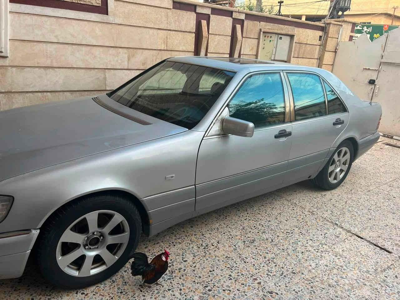 السلام عليكم من رخصه مدير الادمن مارسدس موديل 1992 شبح محرك 6 سلندر بلاد تابوت فتحه كير جديد بدون صبغ بلاد بلاد السياره رقم أربيل ترهم  مراوس وبيع وانطي  فرق مكاني الكاضميه السعر 60 وبيه مجال حك الجيه 

رقمي ***********
