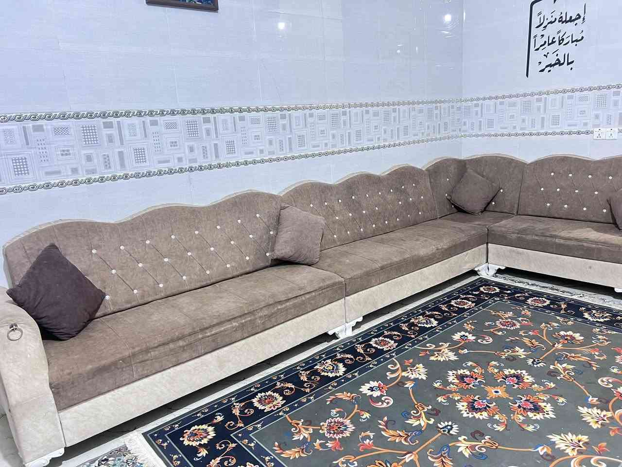 تخم ديوان للبيع


**إذا كنت صاحب هذا الإعلان وتريد حذفه لأي سبب، رجاءا أرسل رسالة إلى الدعم الفني**