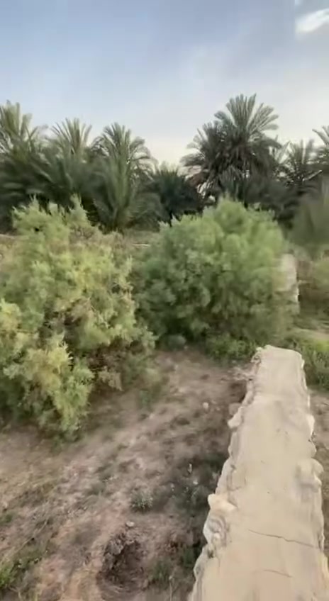 للاستفسار اتصل علا رقم***********
