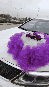 كماليات جوكر كار 🏅🏅🏅🏅
لتزين سيارات الاعراس
عنوان موصل حي الشيماء قرب صيدليه العادل يم المدخل رقم الهاتف 📱***********
