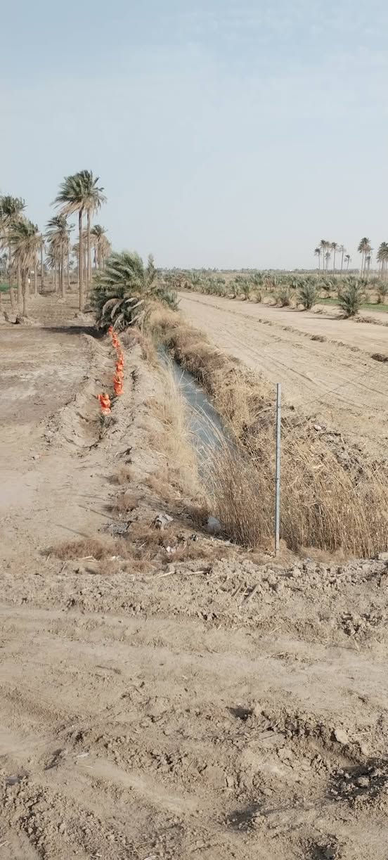 ارض زراعيه مساحه ٤٠٠٠ متر على الشط مشجره نخل ١٠٠ تاله ملون طويريج منطقه الطبر قرب مضيف ال شمران السعر ٥٠ مليون تفاصيل على الخاص مكتب حيدر للعقار ***********
