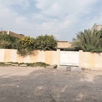 كنعان الخظراء • ١٦٢٥م • بيت ٣٠٠م