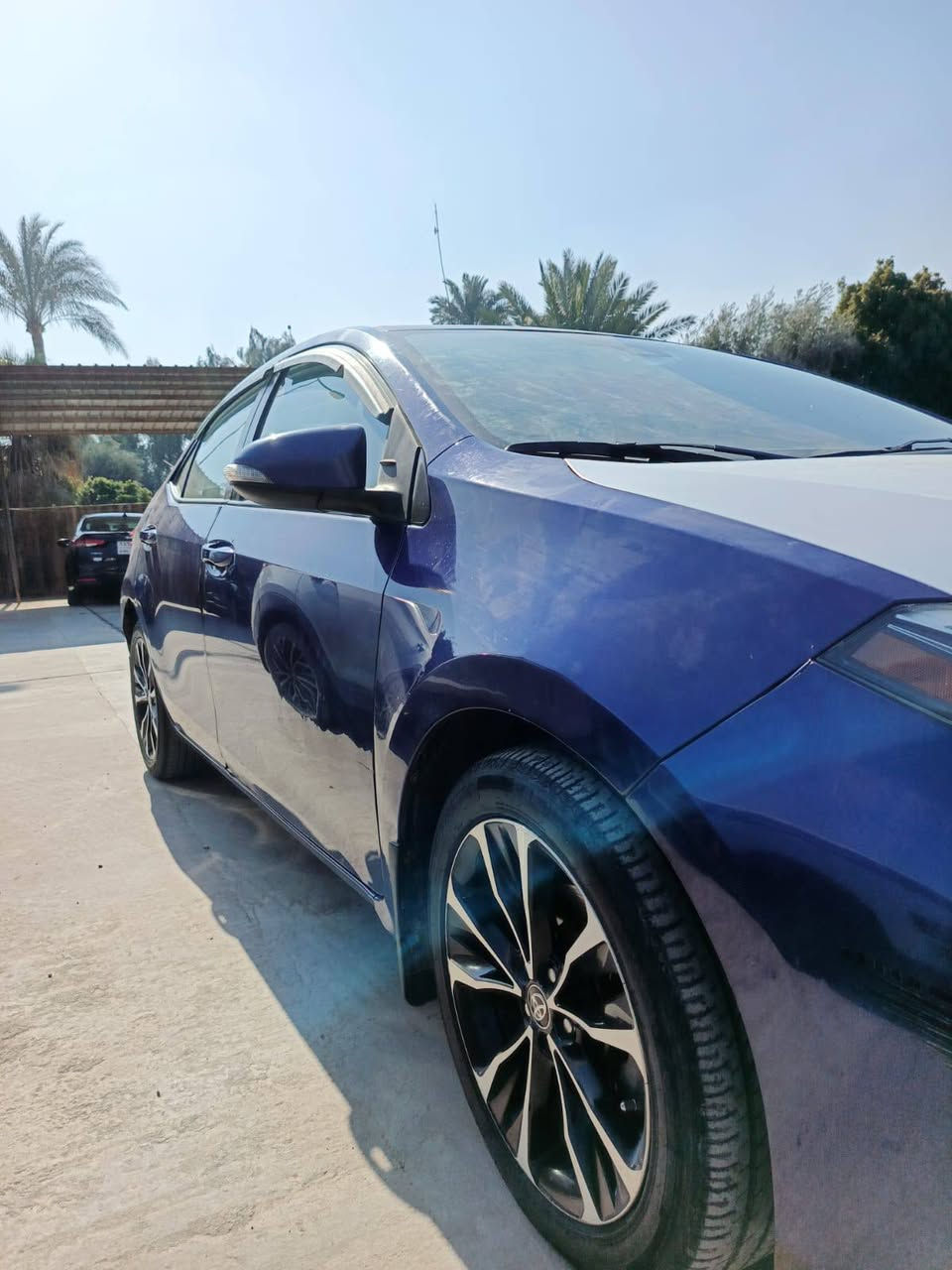 السلام عليكم
كورلا للبيع 2018
فول مواصفات SE
تشغيل عن بعد 
فتحه بالسقف
رادار
حجر
تبريد وتدفئه بالكشنات
شفتات بالاستيرن
كير ومكينه ع وضع الشركه مكفولات
تدفته بالاستيرن
نظام سبورت 
تحديد سعرعه
تحديد مسار 
تبريد وتدفئه ع وضع الشركه
اشاير بالمري+خيار
لايت زنون عالي وناصي
رقم شمالي الجديد
كير عادي واتماتيك
السونار بالمنشور
ديالى ***********
