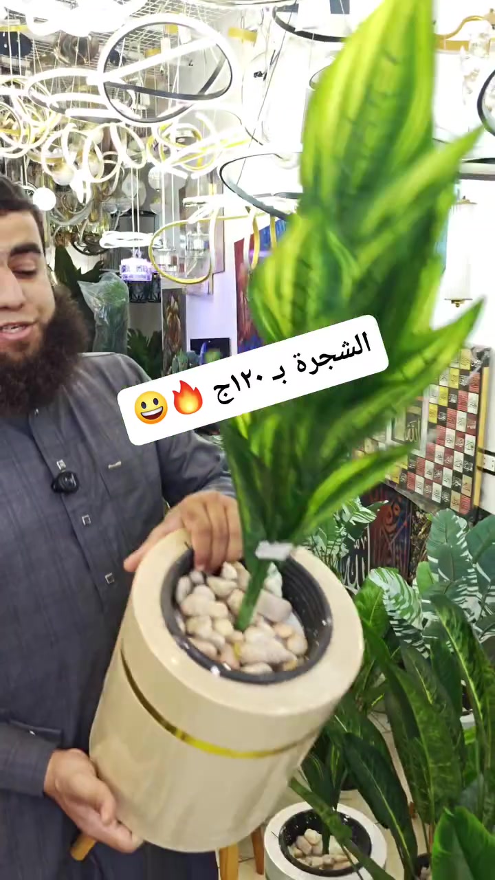 🌴🎉 عروض خاصة بمناسبة عيد الأضحى المبارك 🎉🌴
شجر ديكور يظبط أي ركن في بيتك 😍
ابتداءً من ١٢٠ جنيه فقط 🔥
سارع قبل نفاذ الكمية 🚨
العرض مستمر حتى انتهاء الكمية
📍 الشافعي للنجف والانتيكات
أمام كوبري قصر الثقافة – فاقوس
#الشافعي_للنجف_والانتيكات
#ديكور
#شجر_ديكور
#عروض_العيد
#فاقوس
#ديكورات_منزل
#عيد_الأضحى
#تحف_وانتيكات


**إذا كنت صاحب هذا الإعلان وتريد حذفه لأي سبب، رجاءا أرسل رسالة إلى الدعم الفني**