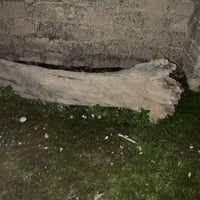 سجره ونص • قريه السفينه