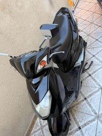 سكنس فحل • ياباني • البصره-التنومه