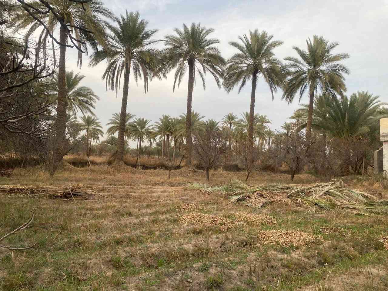 نص دونم لبيع على طريق شريفه تبعد كيلو كافه خدمات بيه سعر ٢٥ طابو زراعي سند ٢٥


**إذا كنت صاحب هذا الإعلان وتريد حذفه لأي سبب، رجاءا أرسل رسالة إلى الدعم الفني**