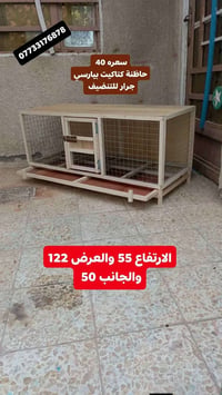 حاضنة • كتاكيت • كربلاء