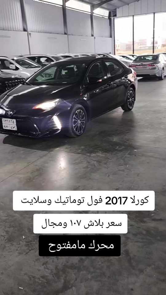 #***********  #اربيل #العراق🇮🇶 #العراق #دهوك 
