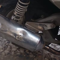 سكنس فحل • شرط • مرتب