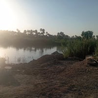 شط الحلة • قرب آثار بابل • ٢٠٠٠م