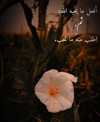 ملحق الفارس • ١١٠م • غرفتين