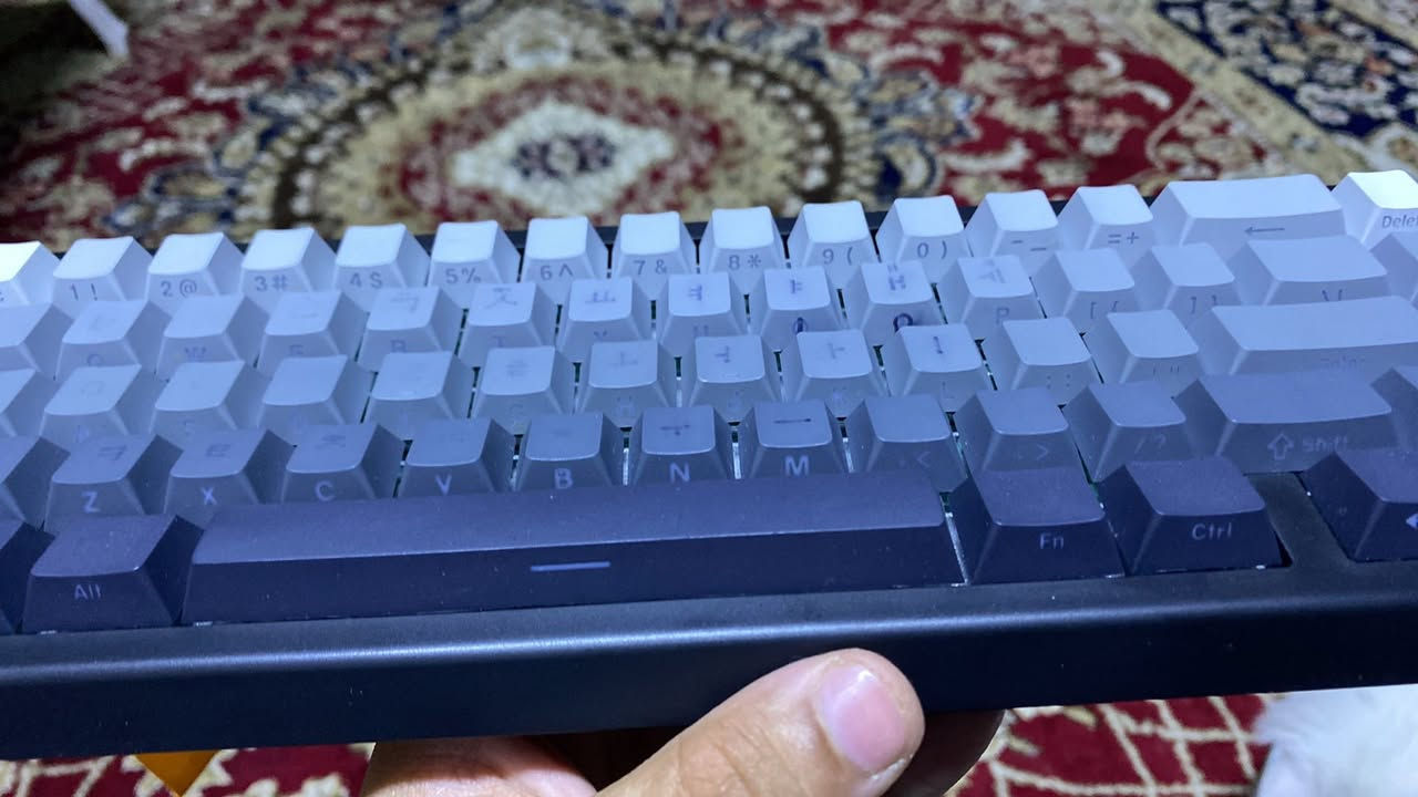 السلام عليكم
حبايب كيبورد attack shark x68he
نظيف كامل ملحقات فقط مكتوب عليه 
من الاعلى ياباني اعتقد و الاسفل انكليزي عادي
سعره 35 قفل 
متوفر توصيل🌹


**إذا كنت صاحب هذا الإعلان وتريد حذفه لأي سبب، رجاءا أرسل رسالة إلى الدعم الفني**