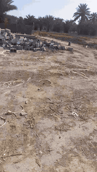 سلام عليكم قطعة أرض البيع تفاصيل داخل الفيديو رقم صاحب الكاع *********** مكاني ه
