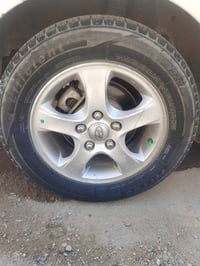 ويل كب النترا • حجم ١٥ • نضيفات