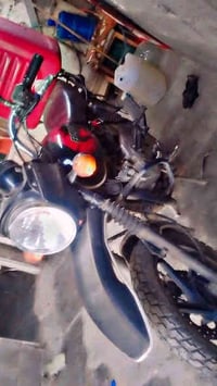 بوكسر جبلي • موديل ٢٠٢٣ • اوراق كاملة