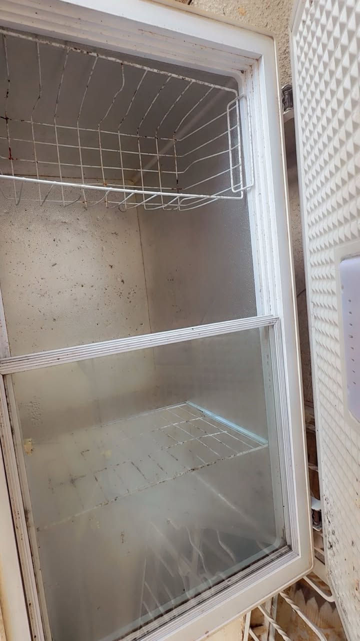 تجميد فول فول ١٧٥ وبيه مجال


**إذا كنت صاحب هذا الإعلان وتريد حذفه لأي سبب، رجاءا أرسل رسالة إلى الدعم الفني**