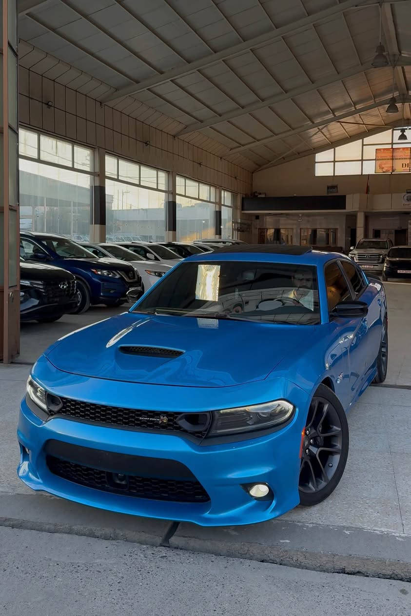 جارجر ٢٠٢٣ سكات پاك قباط قباط
1 قتعه سبغ بي داخلي بي ايرباك🔥
31 مايلا جوى
مكينه سكات 6.4💣
سلايد+رادار+شغال+كوشن خزن+كوشن سار گرم+سكان هيتر+حساس سياره قباطه...
سعر 365$ مجال
*********** زاخو, دهوك
