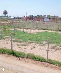 قطعة 100م • مشتل الشرق الاوسط • متوفر تقسيط