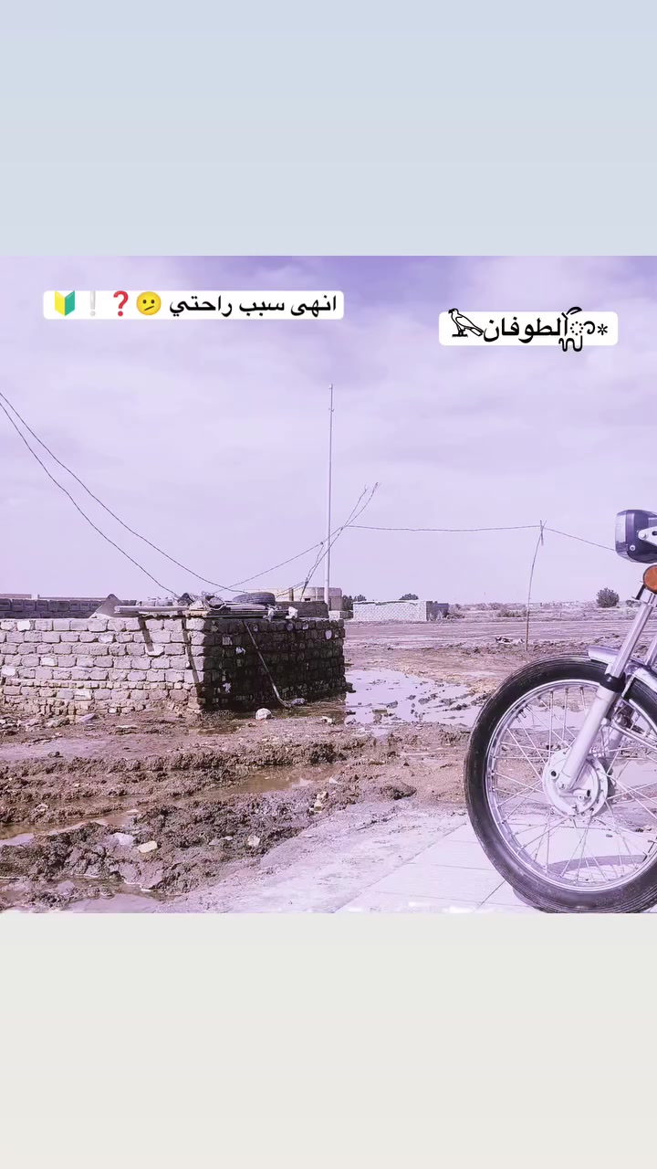 امتياز لالبيع نص تحريبه اوراق كامله جانت كامله , 4اشهر طالعه من وكيل سعر600 وبيه مجال


**إذا كنت صاحب هذا الإعلان وتريد حذفه لأي سبب، رجاءا أرسل رسالة إلى الدعم الفني**