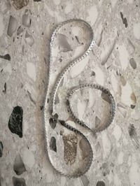 كلاده وسوار • عيار ٩٢٥ • ٤٦غ