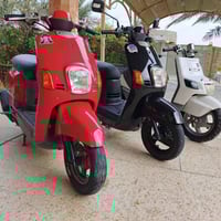 للبيع دراجات بوليس كابريتر  ابيض بيكم  محرك مقفوله  السعر ع الخاص  الا...