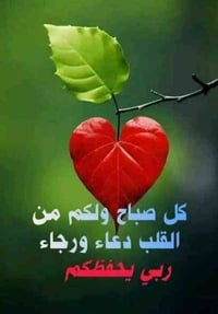 حلة شارع أربعين • ٧٠م • كراج