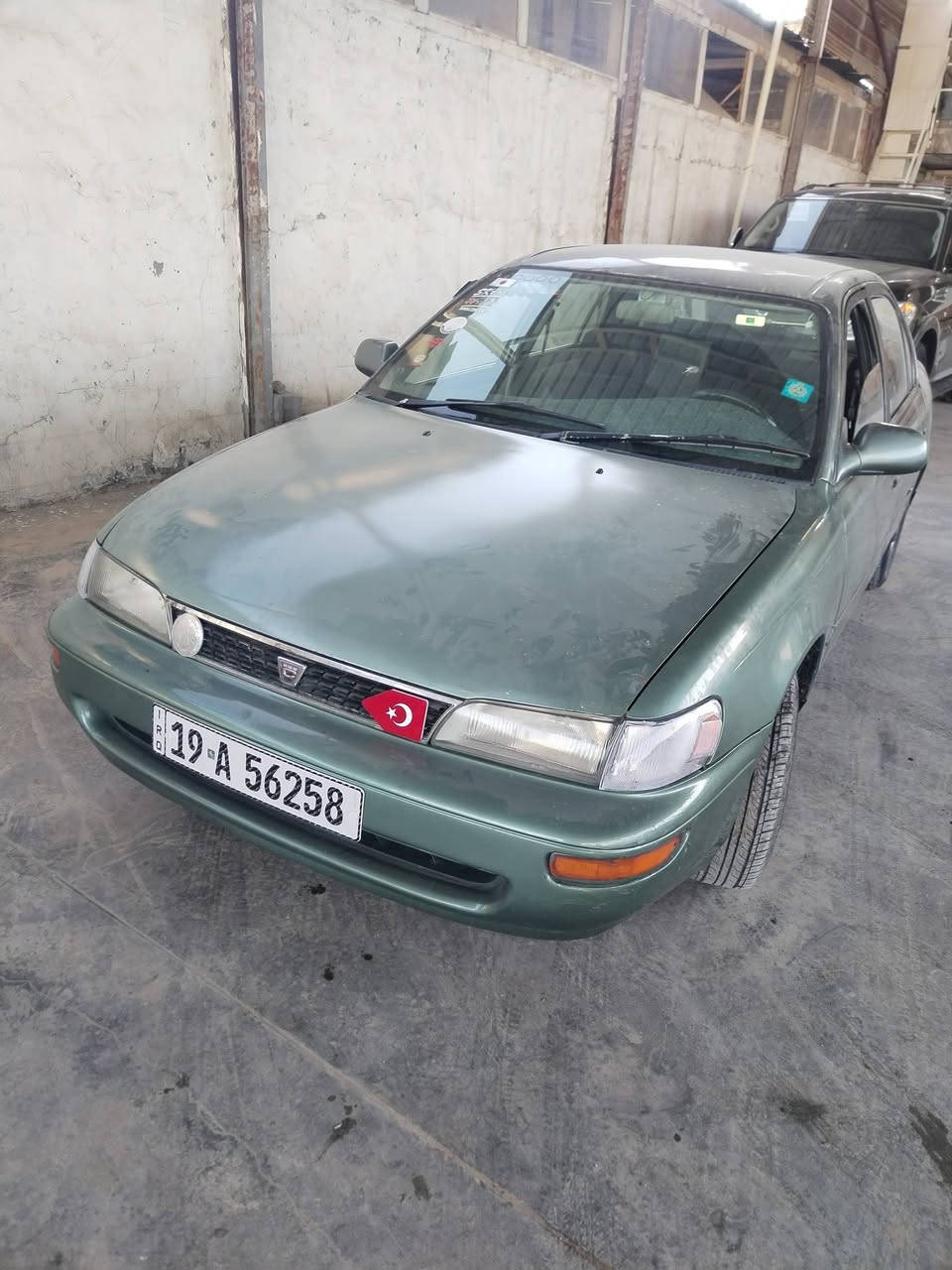 السلام عليكم كورله ١٩٩٤ مكفوله كصه وضربه رقم كربلاء دولي سنويه لل٣٠ مكينه وكير حداديه كله جاهزه مكاني نجف كوفه *********** شراي يتصل
