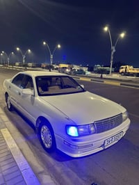 بطة منفصل • ١٩٩٢ • بصرة