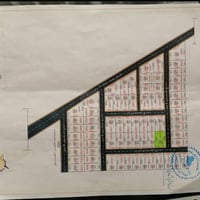 القوسيات • ١٢٥م • سند ٢٥