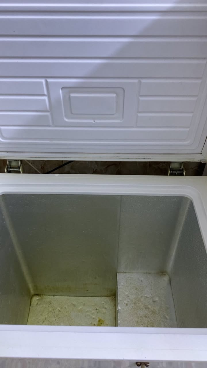 مجمدة للبيع نوعية كيلون الاصلية تجميدها فول حجم وسط مثل ما موضح بصورة شكلها والاضرار البسيط سعر ١٢٥ وبيها مجال بسيط مكان ابو غريب خرنابات


**إذا كنت صاحب هذا الإعلان وتريد حذفه لأي سبب، رجاءا أرسل رسالة إلى الدعم الفني**