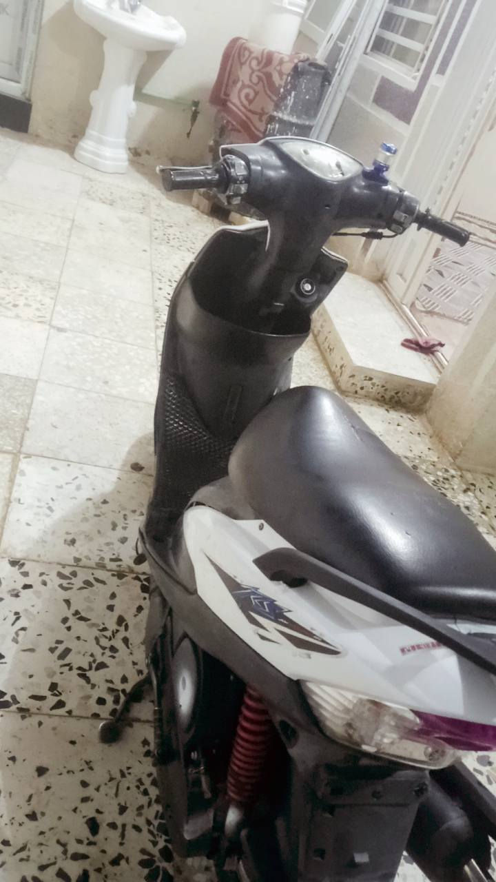 فـول ومگفول الله شااهد وصـل معـرض بلاد 49 تخبل شـلعه ونـهضه عل فـحص مگاني كربلاء حي انضال *********** اشراي خاص 👍🏻
