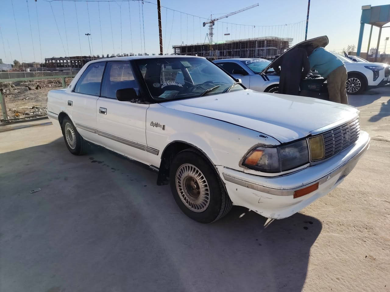 هارتوب ٩١ مشروع وطني
السعر ٢٥ وبيه مجال بسيط
مكانه الشطره
وراعيه موجود بلشطره
مداور ثاني يوم
***********
