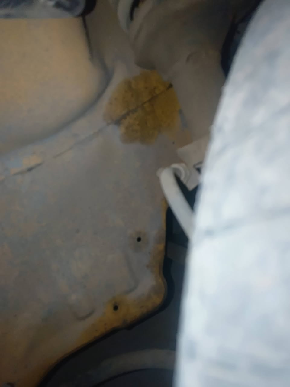 سايبا 2012جاهزه شواصي انضاف السعر 20 مكاني الشعله ***********
