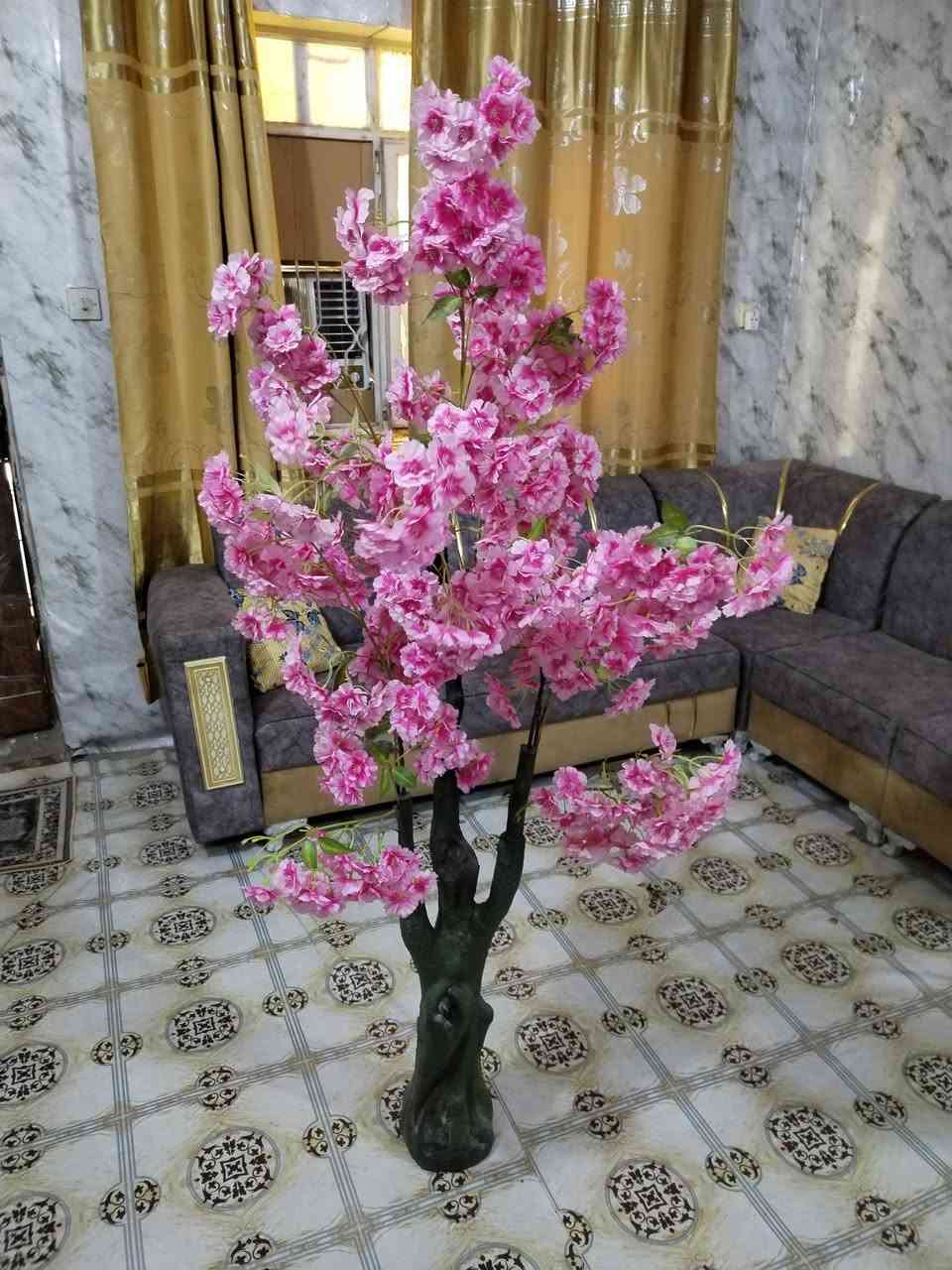 غراض للبيع...
بلازمه قياس كبير و ميز 
مجمده كبيره. 350 
شجره ورق الموز ارتفاع متر و نص 25
شجره وردي 25

التواصل مع الرقم
***********
كربلاء حي الغدير شارع 60 قرب مندي ابو الجود
