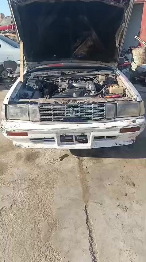 يالله تفصيخ هارتوب طويله مكينه وكير فيفتي 2500 حاويه جدد ع شرط العنوان ديوانيه قضاء الشاميه /***********
