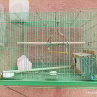 اقفاص • استخدام قليل • سوق الشيوخ