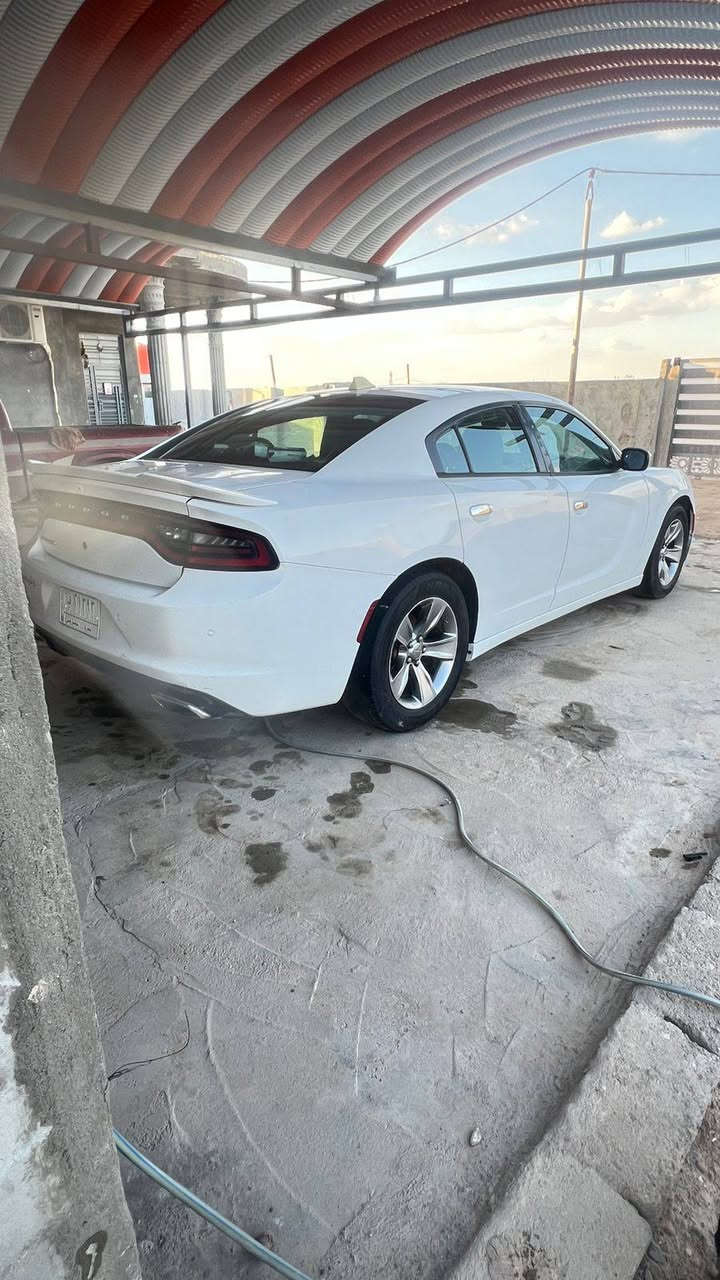 جاجر بوليسي 2018 أصل للبيع فقط 
الحادث بنيد مبدل فقط 
گير مكينه حداده تخم تاير تبريد جاهزه
رقم بغداد بسمي تحويل ثاني يوم 
شاشه وسط
حساسات خلفيه 
كامره دواره 
السعر 177 وبيها مجال 
للاستفسار الاتصال 
***********
