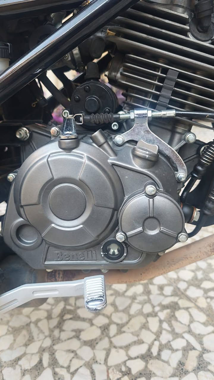مرحبا اخوان دراجه بنلي 135 cc (رقم بغداد) بسعر 2 مليون و600 الف. بيه مجال للشراي وحق الجيه دراجه مرتبة فول ونظيفه وتحويل ثاني يوم تستلم سنوية ..عندي بس الدشبول مشلوع شوية بسبب حادث فقط بس ممأثر على دراجه
اذا عندك دراجه نزل مراوس هم ارواس بدراجه نظيفه 
مكاني الدورة *********** واتساب ورصيد
