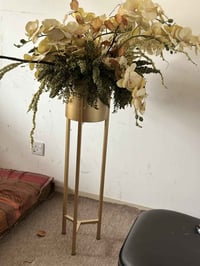 ١١٠ سم • ما بيها عيب • درجة أولى