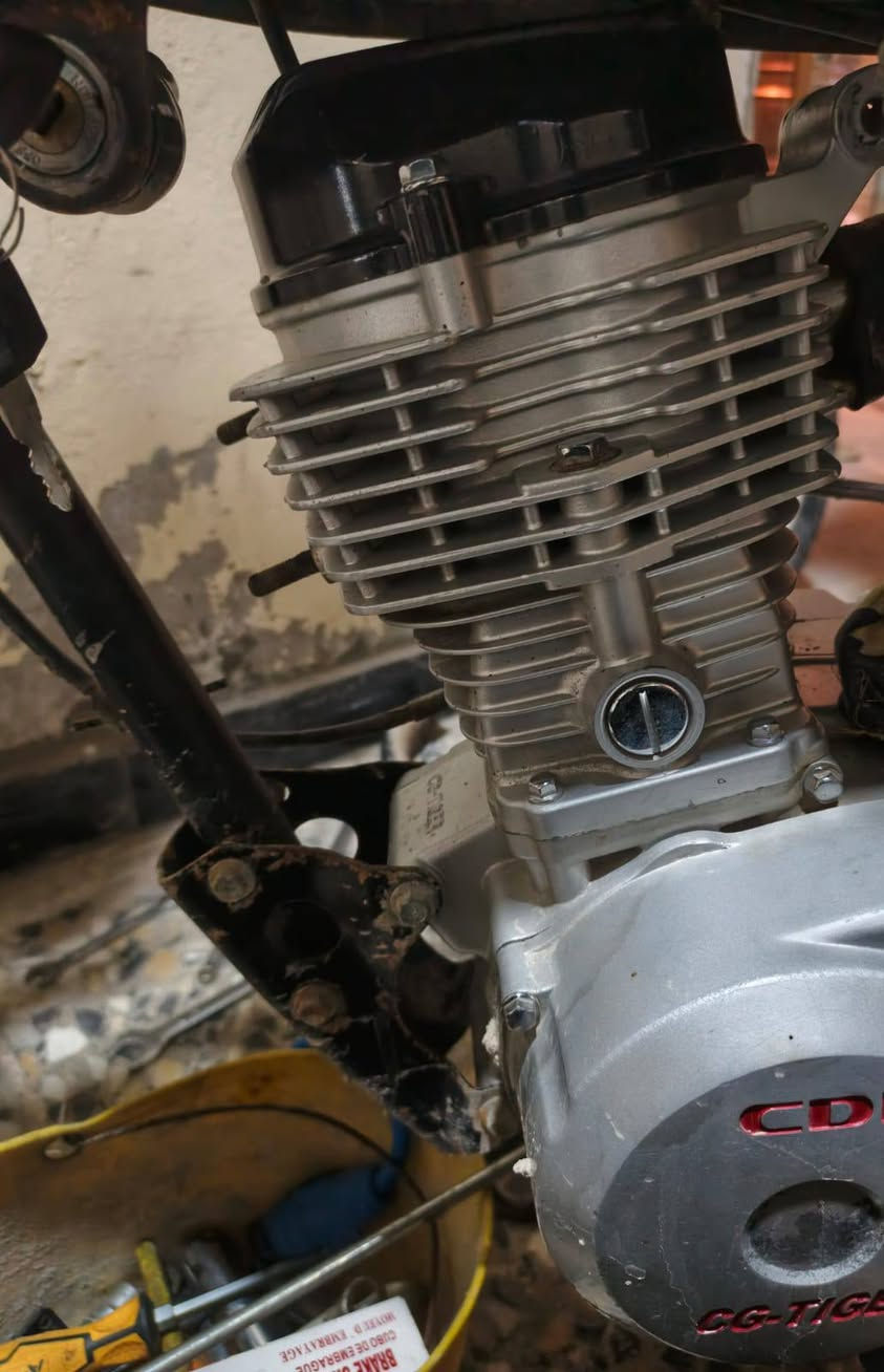 سلام عليكم شباب محرك تايكر2019 راقي مامفتوح للبيع ب100 و ويل كدام رياضي بطيخه سوده بلاد هوه ولتاير تخم كامل يرادلهن غسل نضاف ب20 مكاني نجف


**إذا كنت صاحب هذا الإعلان وتريد حذفه لأي سبب، رجاءا أرسل رسالة إلى الدعم الفني**