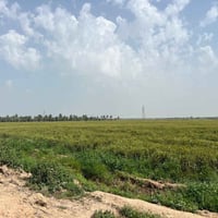 ١٤٠ دونم • طابو زراعي سند ٢٥ • ذراع دجلة