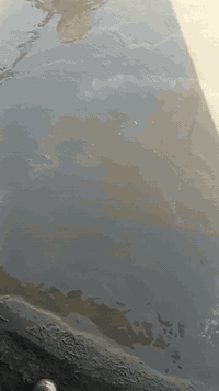 السلام عليكم ورحمه الله وبركاته اخواننا اعزائنا الطيبين ***********احنا جماعه الصب اليدوي اللي عنده صبت نظافه اللي عندها تصويت السطح شغل درجه اولى ومناسب داخل البصره موجود عندي غالب وخباطه وعندي مركزيه شغل درجه اولى
