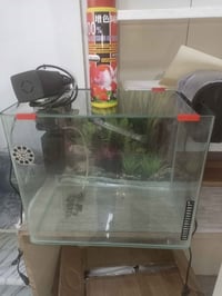 حوض سمك • ٣ مضخات هواء • توصيل دهوك