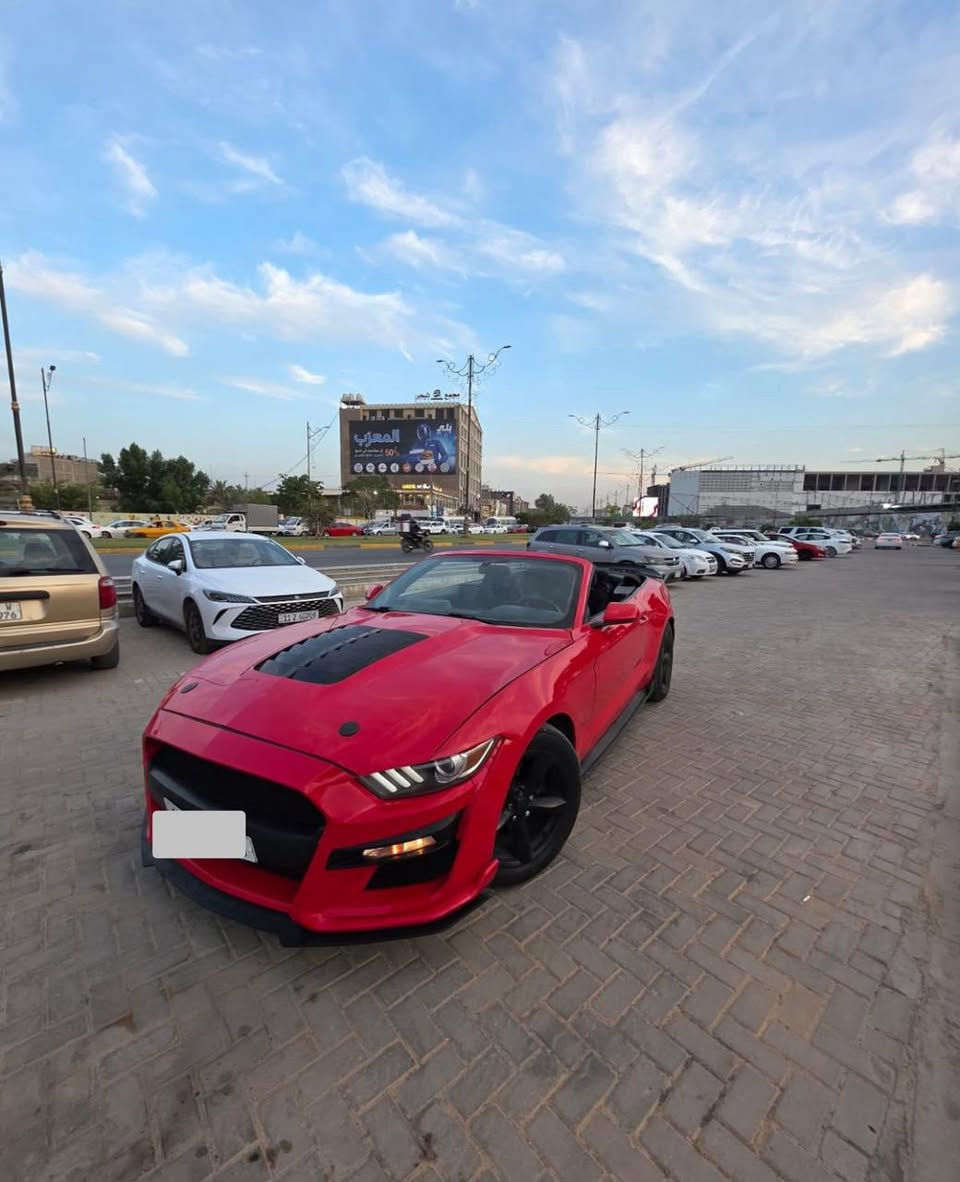 موستنك ٢٠١٥ رقم بغداد ب اسمي
مصبوغه حزام
سياره ستوها معمره كامل
حداديه امامه وخلف واكسل مبدل كله جديد
بچم جديد 
منضومة تبريد كامله جديده 
منضومة بانزين فيتبم ونوزلات وبلكات مبدلهن 
ماشيه ١٢٢ الف
كشف شغال ١٠٠٪؜١٠٠
‭+٩٦٤ ٧٨٠ ٧٨١ ١٧٠٧‬

