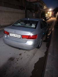 سوناتا • ٢٠١٠ • مصبوغه فلوجه