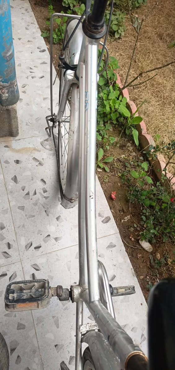 اسلام عليكم بلسكل للبيع شركه اي بي موديل 2018
لون رصاصي حجم 26 سعر 60بي مجال غليل شر


**إذا كنت صاحب هذا الإعلان وتريد حذفه لأي سبب، رجاءا أرسل رسالة إلى الدعم الفني**