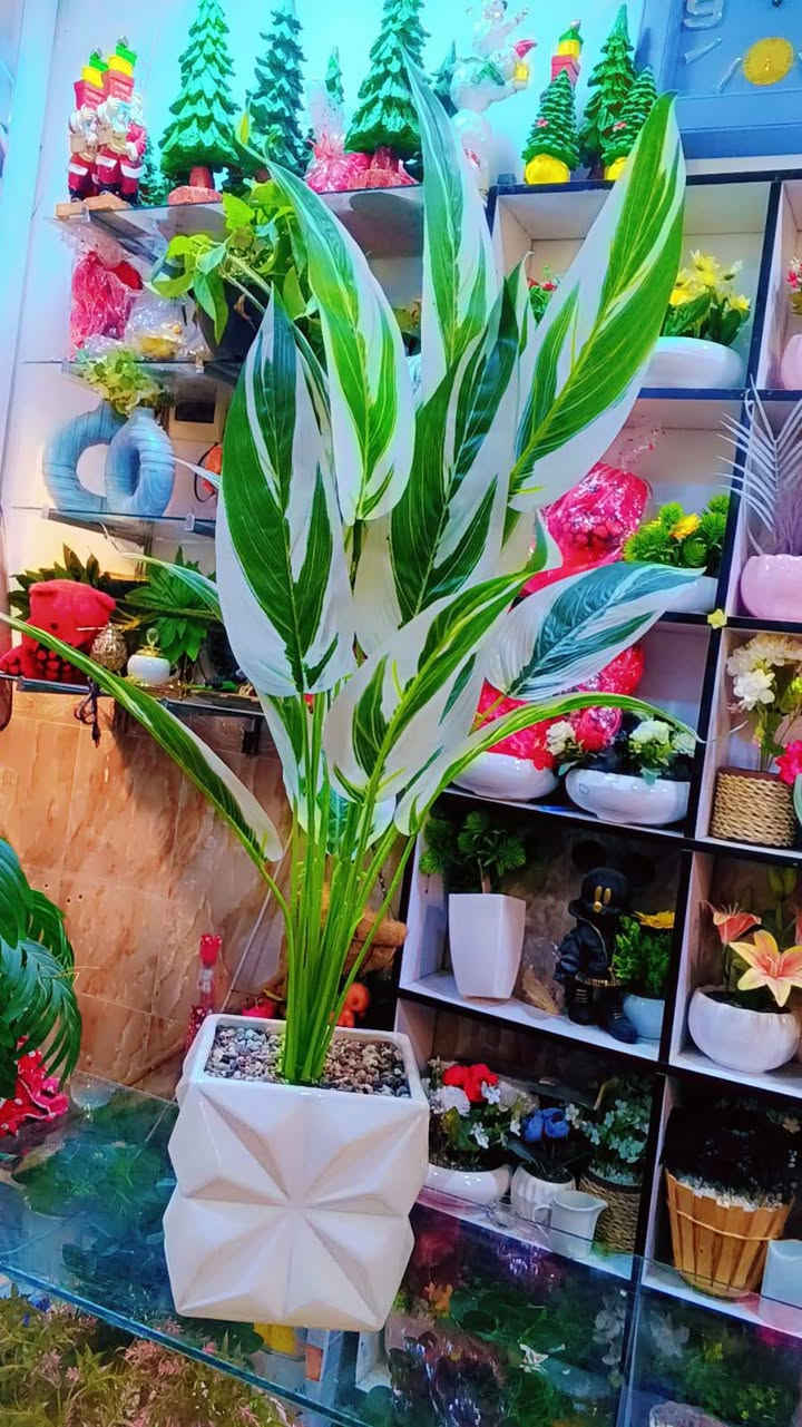 💐💐💐💐


**إذا كنت صاحب هذا الإعلان وتريد حذفه لأي سبب، رجاءا أرسل رسالة إلى الدعم الفني**