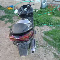 فورزه • بصمه • عوسجه كياره